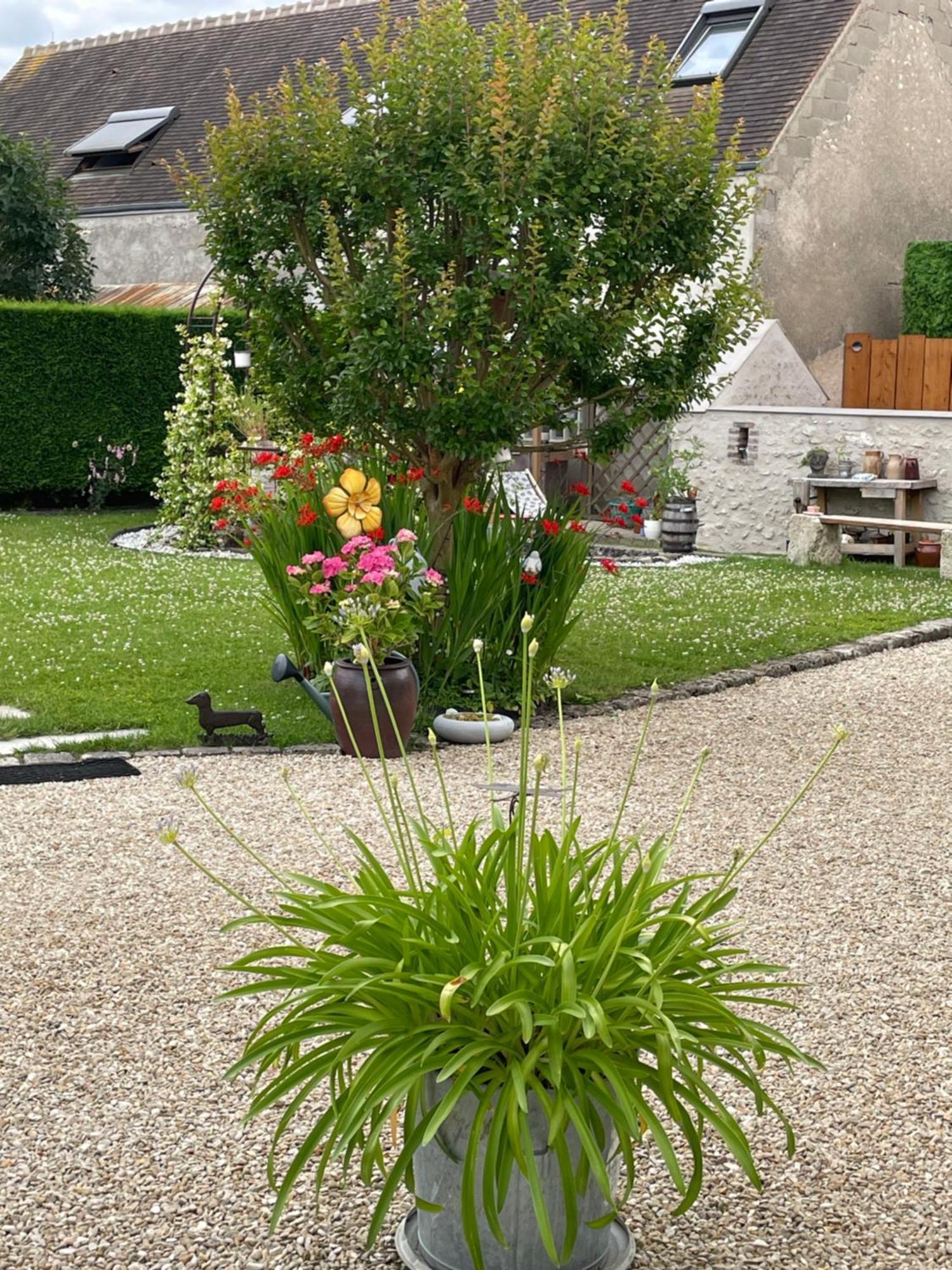 Le Clos Du Q'Hatre Clery-Saint-Andre Bagian luar foto